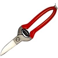 ICAR - Pad Shears